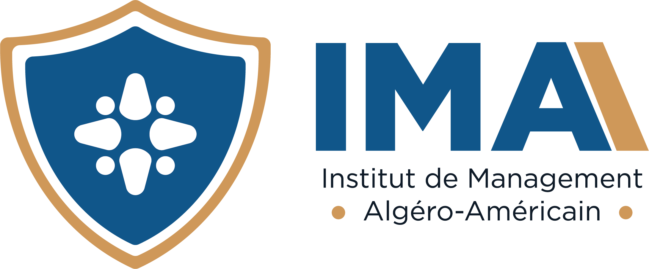 Institut de Management Algéro-Américain